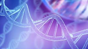 Mimetic Primers