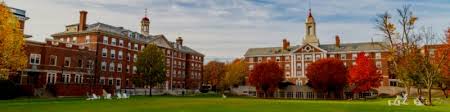 abigail sirayon harvard linkedin